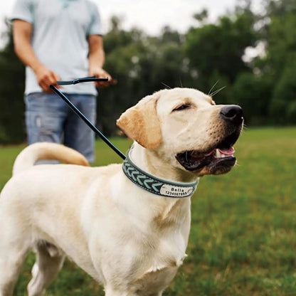 Leather Dog Collar